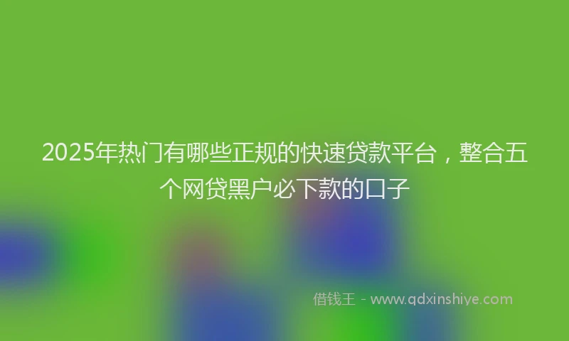 2025年热门有哪些正规的快速贷款平台，整合五个网贷黑户必下款的口子