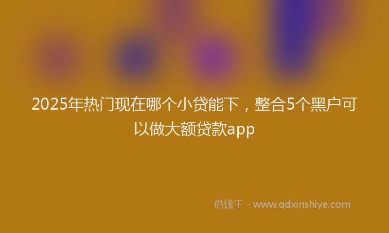 2025年热门现在哪个小贷能下，整合5个黑户可以做大额贷款app