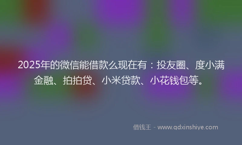 2025年的微信能借款么现在有：投友圈、度小满金融、拍拍贷、小米贷款、小花钱包等。