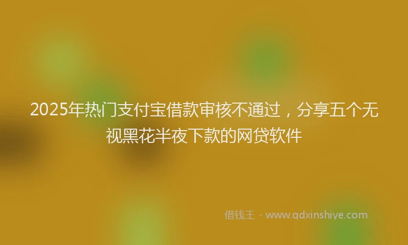2025年热门支付宝借款审核不通过，分享五个无视黑花半夜下款的网贷软件