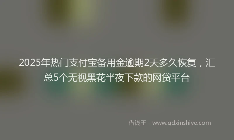 2025年热门支付宝备用金逾期2天多久恢复，汇总5个无视黑花半夜下款的网贷平台