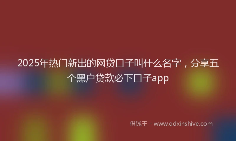 2025年热门新出的网贷口子叫什么名字，分享五个黑户贷款必下口子app