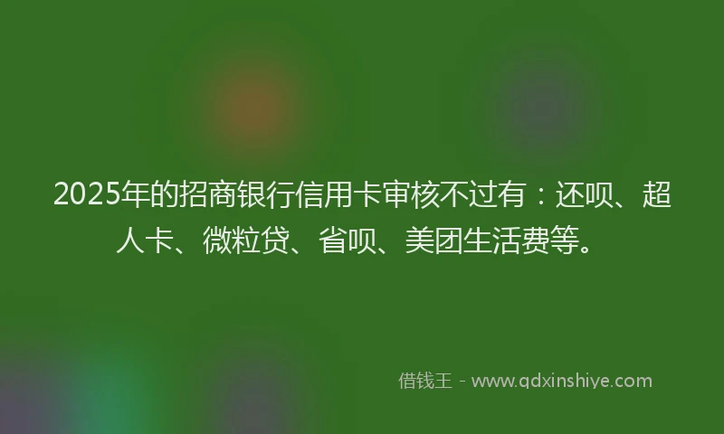 2025年的招商银行信用卡审核不过有：还呗、超人卡、微粒贷、省呗、美团生活费等。
