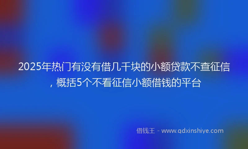 2025年热门有没有借几千块的小额贷款不查征信，概括5个不看征信小额借钱的平台