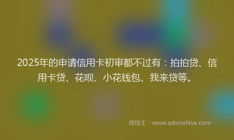 2025年的申请信用卡初审都不过有：拍拍贷、信用卡贷、花呗、小花钱包、我来贷等。