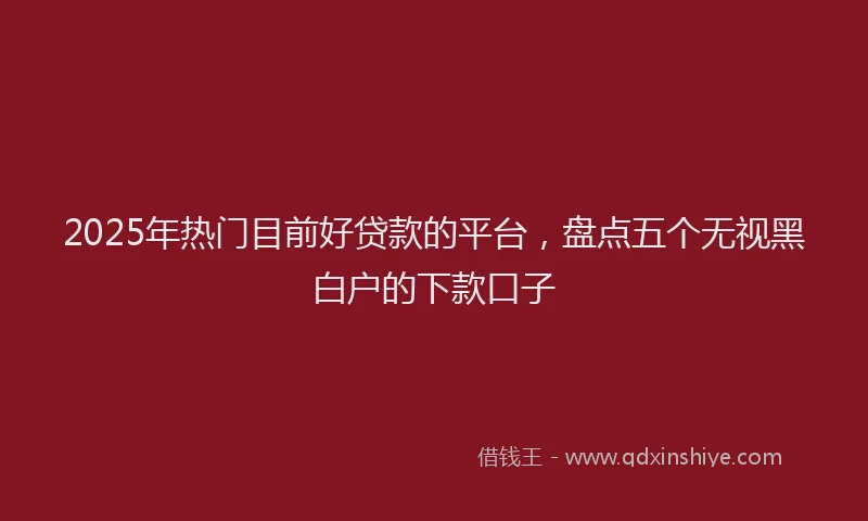 2025年热门目前好贷款的平台，盘点五个无视黑白户的下款口子