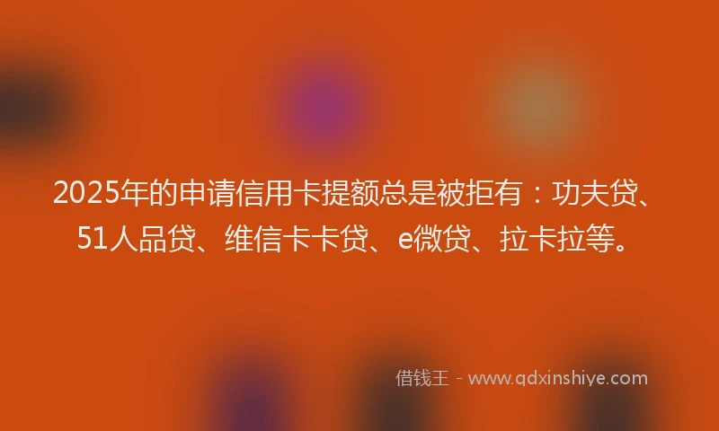 2025年的申请信用卡提额总是被拒有：功夫贷、51人品贷、维信卡卡贷、e微贷、拉卡拉等。