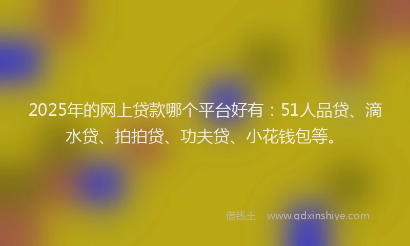 2025年的网上贷款哪个平台好有：51人品贷、滴水贷、拍拍贷、功夫贷、小花钱包等。