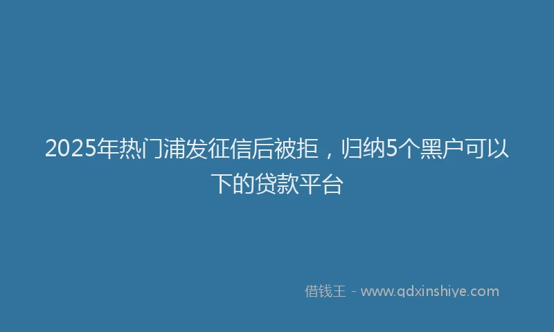 2025年热门浦发征信后被拒，归纳5个黑户可以下的贷款平台