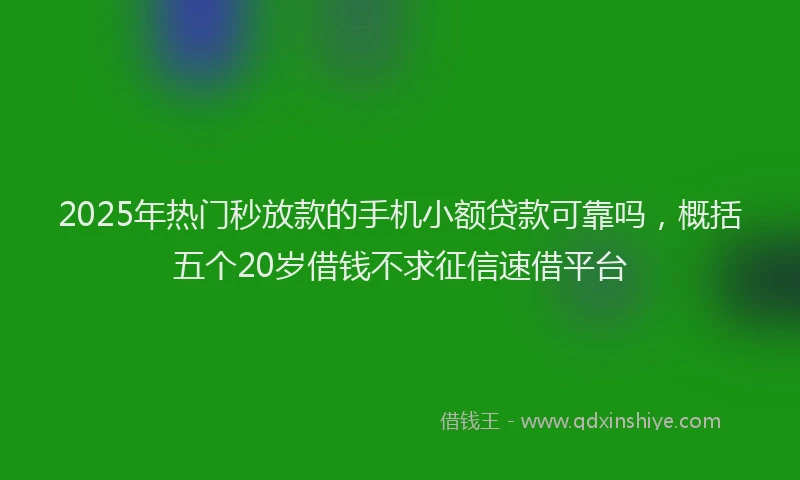 2025年热门秒放款的手机小额贷款可靠吗，概括五个20岁借钱不求征信速借平台