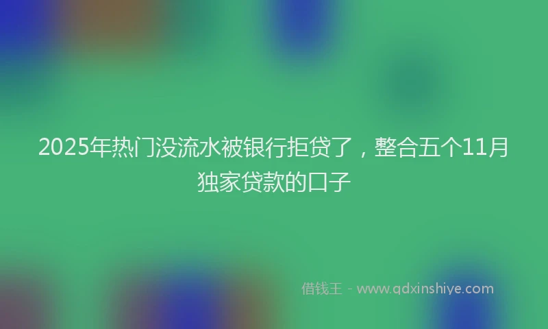 2025年热门没流水被银行拒贷了，整合五个11月独家贷款的口子