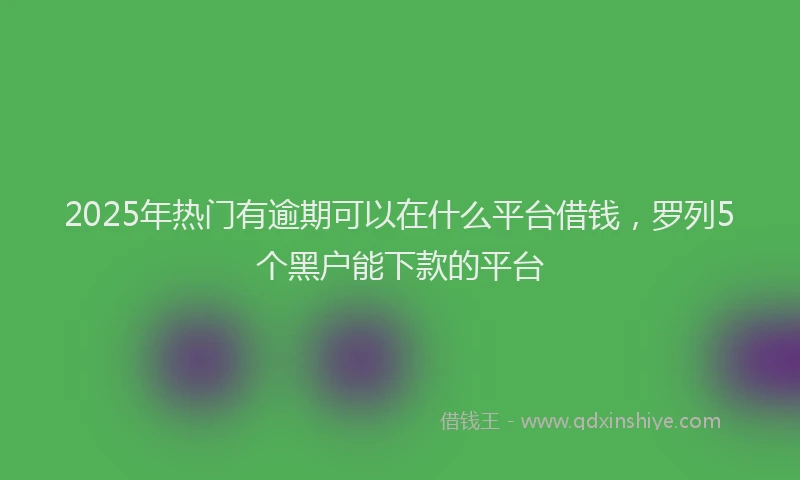2025年热门有逾期可以在什么平台借钱，罗列5个黑户能下款的平台