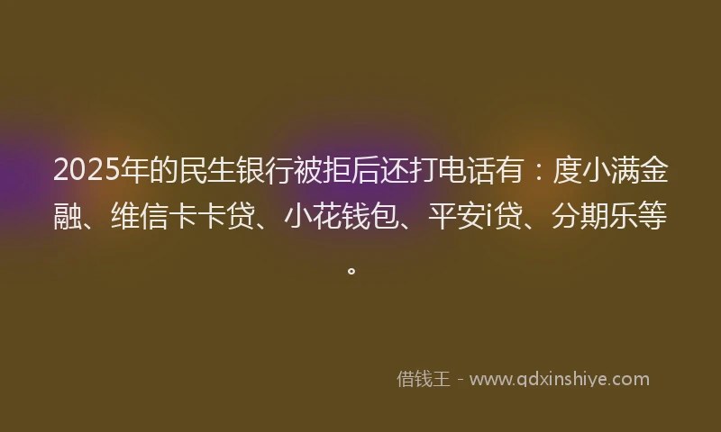 2025年的民生银行被拒后还打电话有：度小满金融、维信卡卡贷、小花钱包、平安i贷、分期乐等。