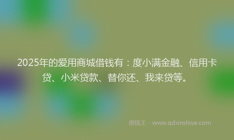 2025年的爱用商城借钱有：度小满金融、信用卡贷、小米贷款、替你还、我来贷等。