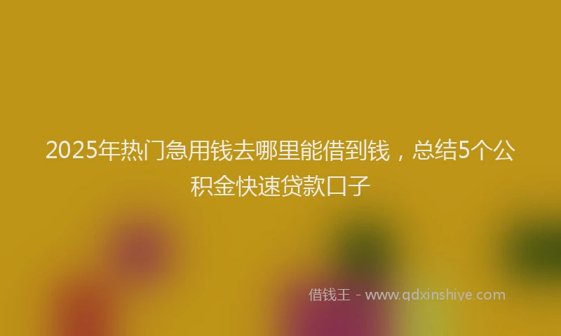 2025年热门急用钱去哪里能借到钱，总结5个公积金快速贷款口子
