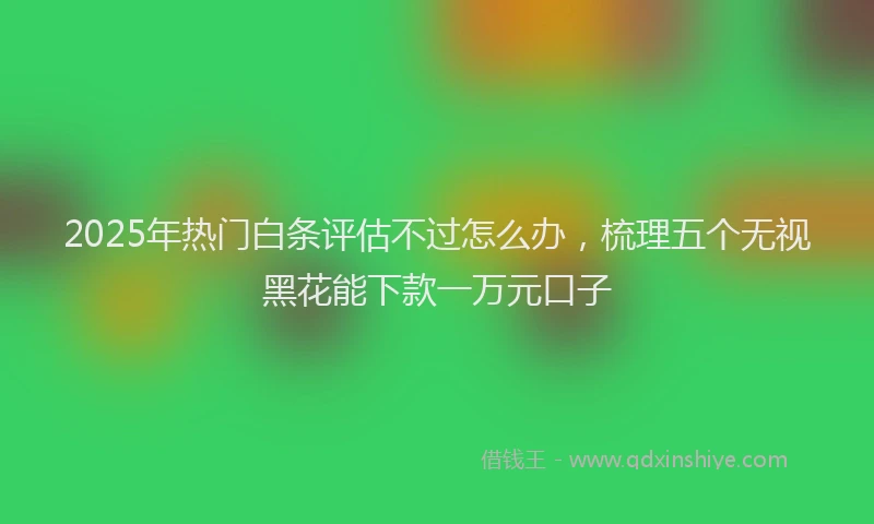2025年热门白条评估不过怎么办，梳理五个无视黑花能下款一万元口子