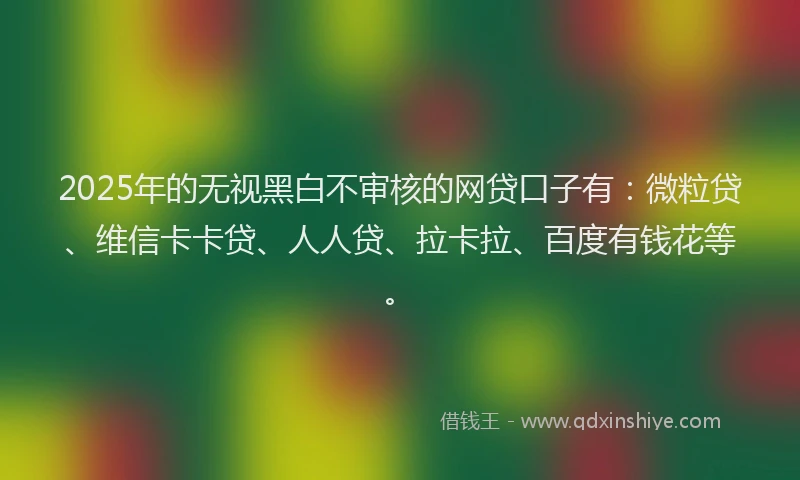 2025年的无视黑白不审核的网贷口子有：微粒贷、维信卡卡贷、人人贷、拉卡拉、百度有钱花等。