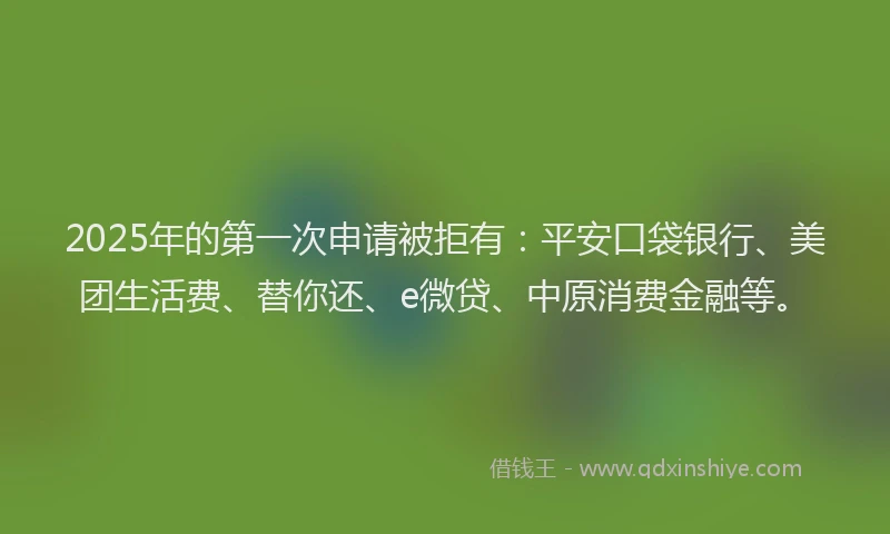 2025年的第一次申请被拒有：平安口袋银行、美团生活费、替你还、e微贷、中原消费金融等。