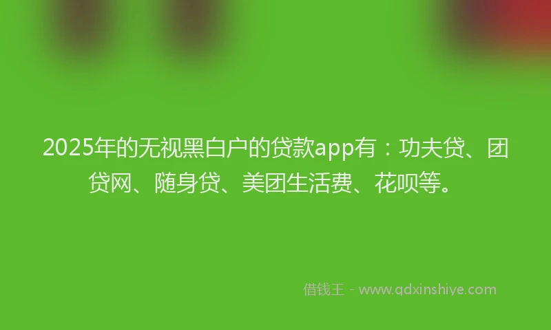 2025年的无视黑白户的贷款app有：功夫贷、团贷网、随身贷、美团生活费、花呗等。