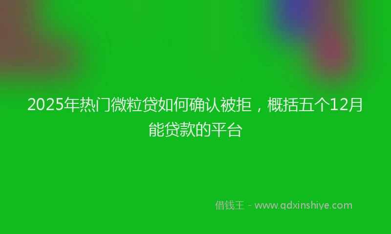 2025年热门微粒贷如何确认被拒，概括五个12月能贷款的平台