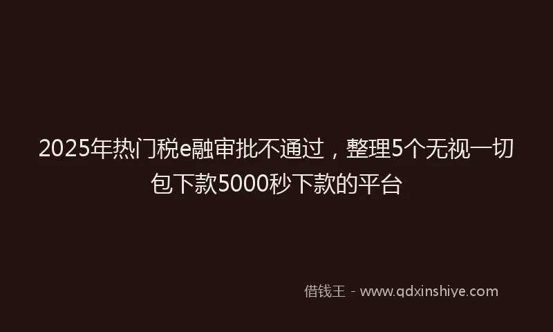 2025年热门税e融审批不通过，整理5个无视一切包下款5000秒下款的平台