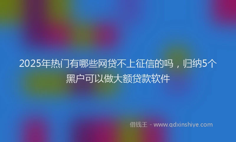 2025年热门有哪些网贷不上征信的吗，归纳5个黑户可以做大额贷款软件