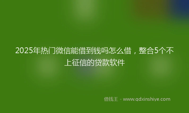 2025年热门微信能借到钱吗怎么借，整合5个不上征信的贷款软件