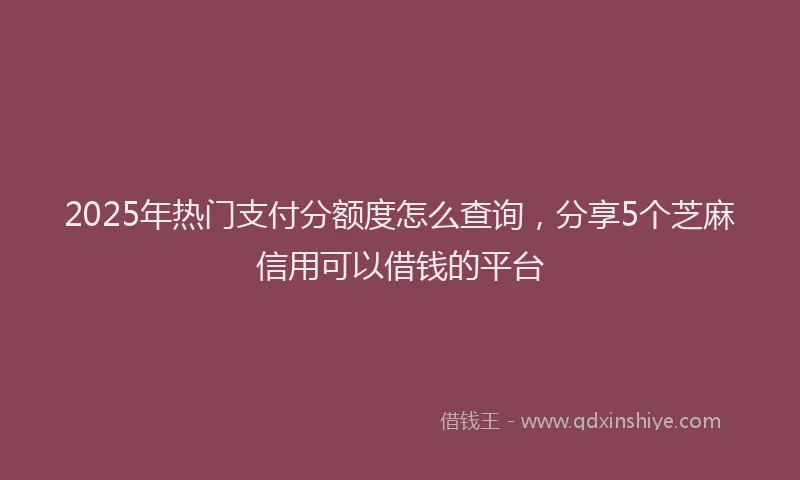 2025年热门支付分额度怎么查询，分享5个芝麻信用可以借钱的平台