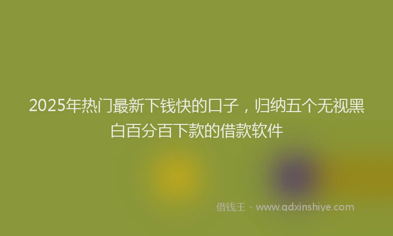 2025年热门最新下钱快的口子，归纳五个无视黑白百分百下款的借款软件