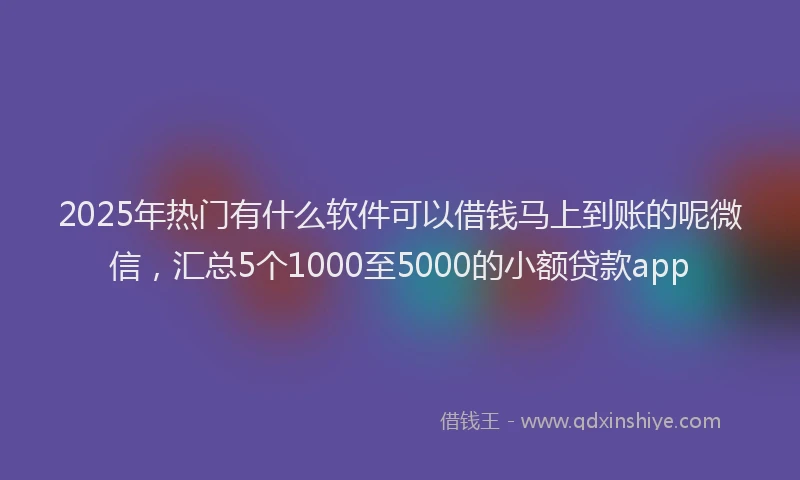 2025年热门有什么软件可以借钱马上到账的呢微信，汇总5个1000至5000的小额贷款app