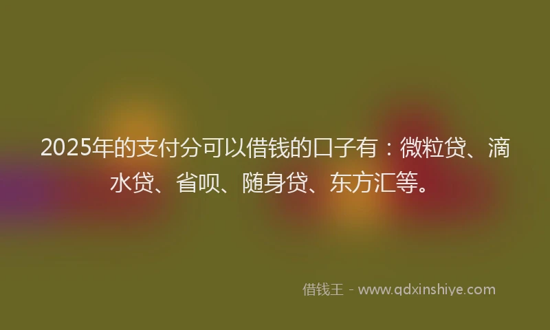2025年的支付分可以借钱的口子有：微粒贷、滴水贷、省呗、随身贷、东方汇等。