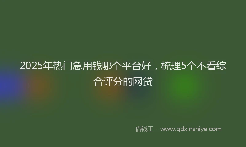 2025年热门急用钱哪个平台好，梳理5个不看综合评分的网贷