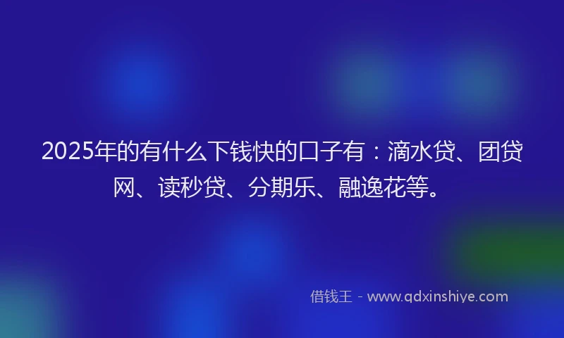 2025年的有什么下钱快的口子有：滴水贷、团贷网、读秒贷、分期乐、融逸花等。