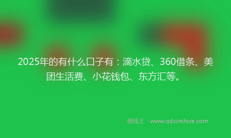 2025年的有什么口子有：滴水贷、360借条、美团生活费、小花钱包、东方汇等。
