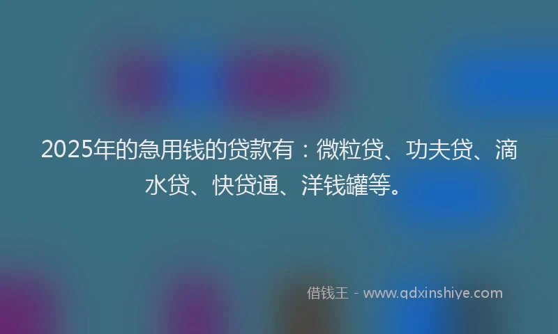 2025年的急用钱的贷款有：微粒贷、功夫贷、滴水贷、快贷通、洋钱罐等。