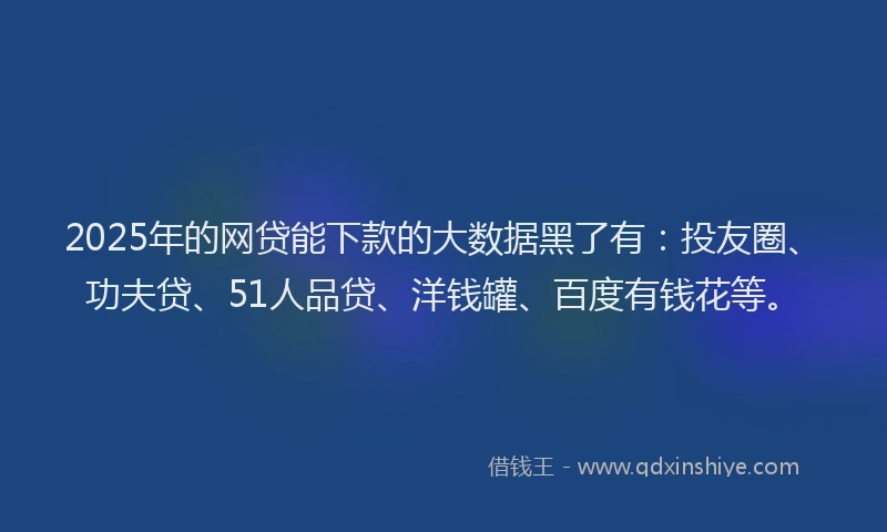 2025年的网贷能下款的大数据黑了有：投友圈、功夫贷、51人品贷、洋钱罐、百度有钱花等。