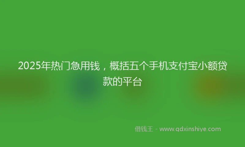 2025年热门急用钱，概括五个手机支付宝小额贷款的平台