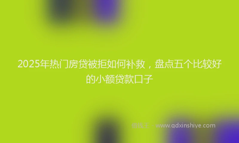 2025年热门房贷被拒如何补救，盘点五个比较好的小额贷款口子
