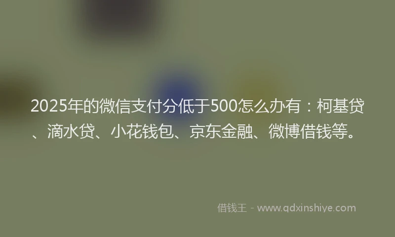 2025年的微信支付分低于500怎么办有：柯基贷、滴水贷、小花钱包、京东金融、微博借钱等。