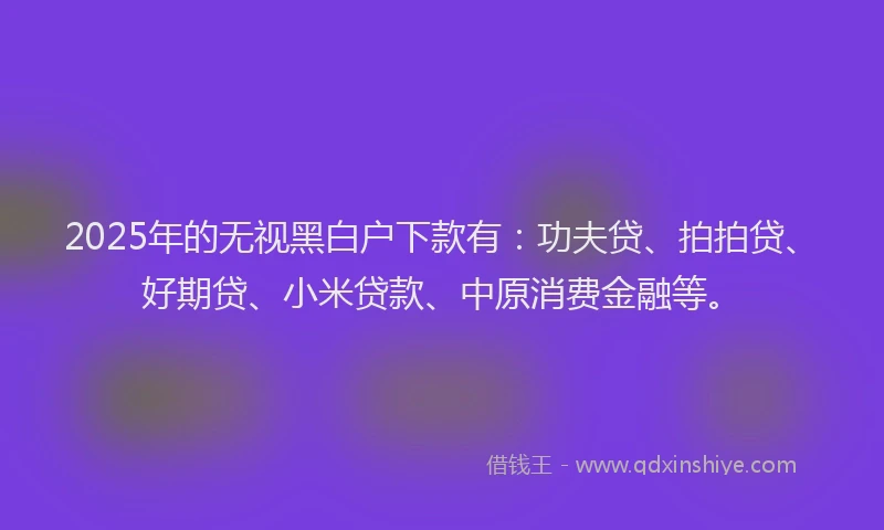 2025年的无视黑白户下款有：功夫贷、拍拍贷、好期贷、小米贷款、中原消费金融等。