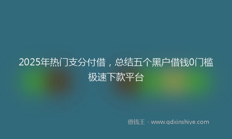 2025年热门支分付借，总结五个黑户借钱0门槛极速下款平台