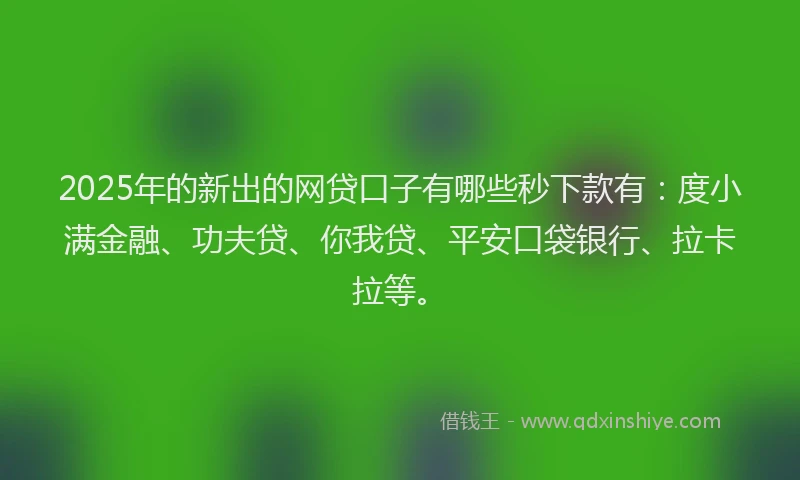 2025年的新出的网贷口子有哪些秒下款有：度小满金融、功夫贷、你我贷、平安口袋银行、拉卡拉等。