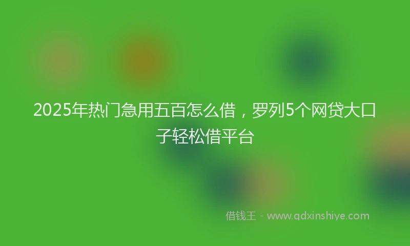 2025年热门急用五百怎么借，罗列5个网贷大口子轻松借平台