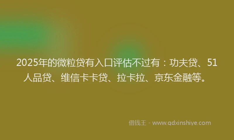 2025年的微粒贷有入口评估不过有：功夫贷、51人品贷、维信卡卡贷、拉卡拉、京东金融等。