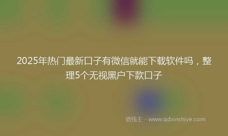 2025年热门最新口子有微信就能下载软件吗，整理5个无视黑户下款口子