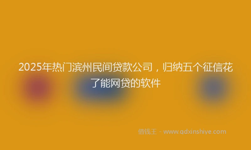 2025年热门滨州民间贷款公司，归纳五个征信花了能网贷的软件