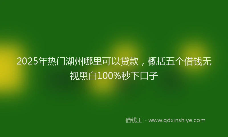 2025年热门湖州哪里可以贷款，概括五个借钱无视黑白100%秒下口子