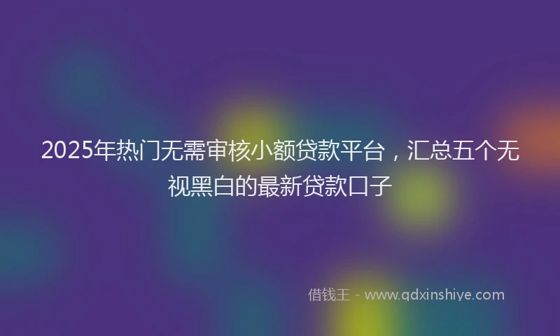 2025年热门无需审核小额贷款平台，汇总五个无视黑白的最新贷款口子