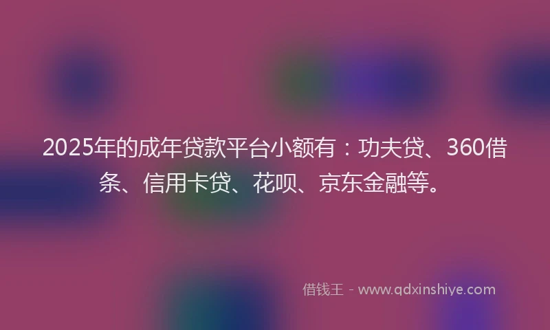 2025年的成年贷款平台小额有：功夫贷、360借条、信用卡贷、花呗、京东金融等。