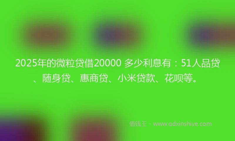 2025年的微粒贷借20000 多少利息有：51人品贷、随身贷、惠商贷、小米贷款、花呗等。